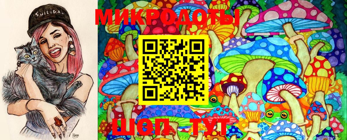 Псилоцибиновые грибы Psilocybine cubensis Орёл